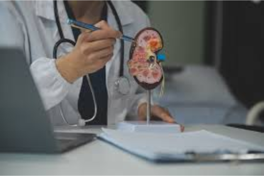 Delhi Free Dialysis Service