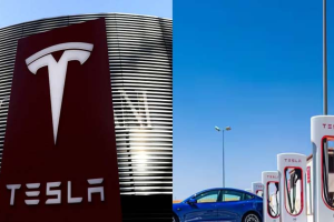 Tesla India Launch